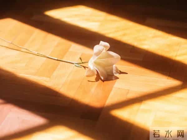 三八妇女节,致女人:愿你笑靥如花,岁岁不减芳华