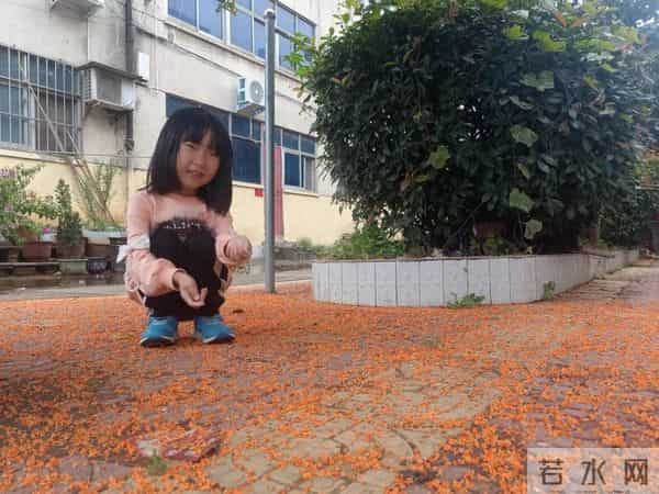 三年级日记之2025年国庆节游记和生活记录三则300字