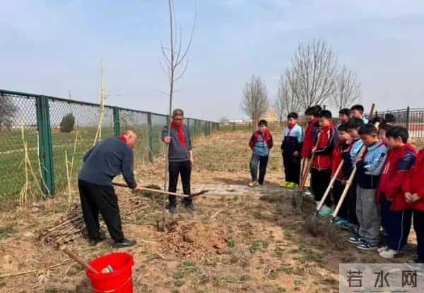 阳信县洋湖乡多措并举推进新时代农村学校少先队劳动实践教育