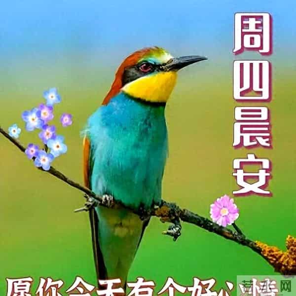 最新高情商早上好祝福语，阳光微笑早安图片，愿你平安幸福每一天