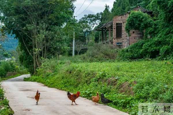 公司新来的00后秘书，第一天上班，就穿了黑丝和包臀裙