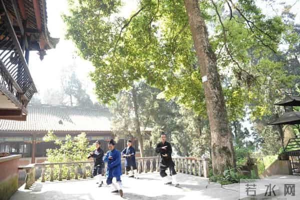 人物|杨庆珍:寻找文同在大邑的足迹