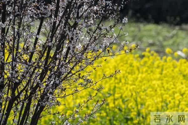 清明假期结束，多地中小学迎来春假！
