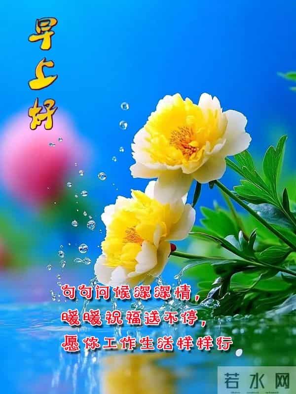 每日100句吉祥祝福语,最美的问候语大全,祝福朋友们快乐吉祥