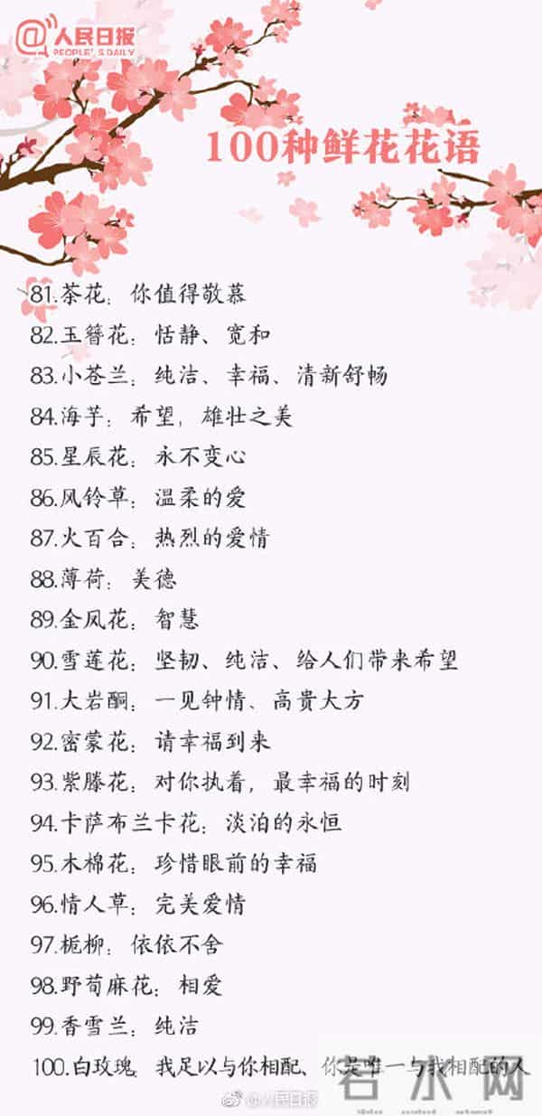 100种花的花语,收藏吧