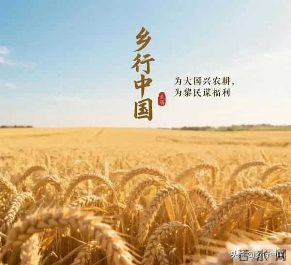 中国农村土地碎片化：成因、经济损耗与破局之策