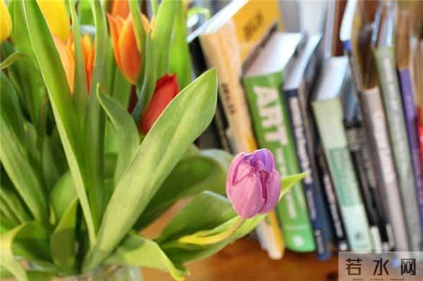 早安朋友!祝你开心无烦恼,顺心又顺意,快乐每一秒