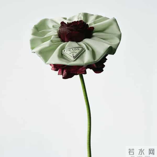 「May I love you」的意思是:在五月,我爱你