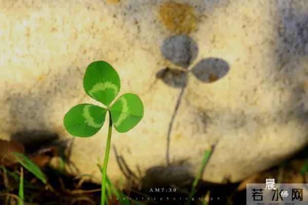 30句青春诗词,每一句都适合当座右铭,最适合今天发朋友圈