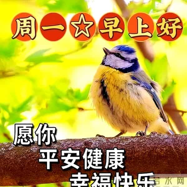 最新早上好问候语简短精华，精辟早安友谊祝福，愿你高兴高兴天天