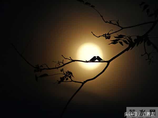 送你几幅有趣的中秋对联