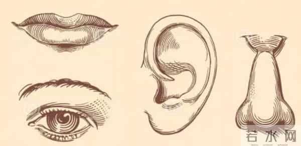 原来不正确擤鼻涕危害这么大，正确姿势赶紧掌握一下