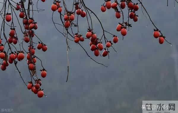 明日中秋节，老人说最怕“中秋节一日雨”，中秋节下雨有啥预兆？