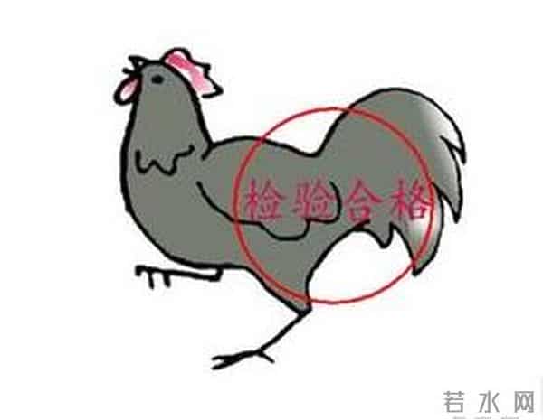 H7N9预防措施