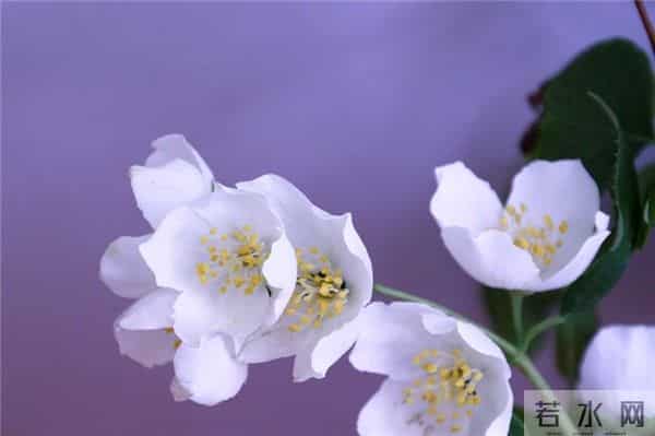 唯美有气质的21条美丽心语，句句文艺清新，挑句自己喜欢的