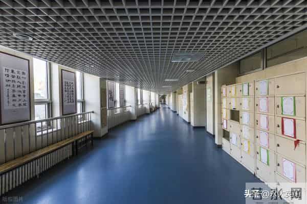 基于“教—学—评”一体化的初中英语阅读教学实践