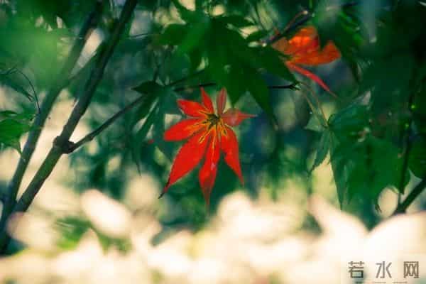 78年大雪封山，我和28岁的小寡妇困在山洞，她解开衣扣：太冷了
