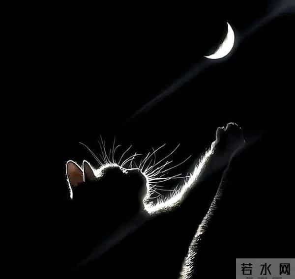 “简短 &39;八字&39; 微信个签,超有感觉”