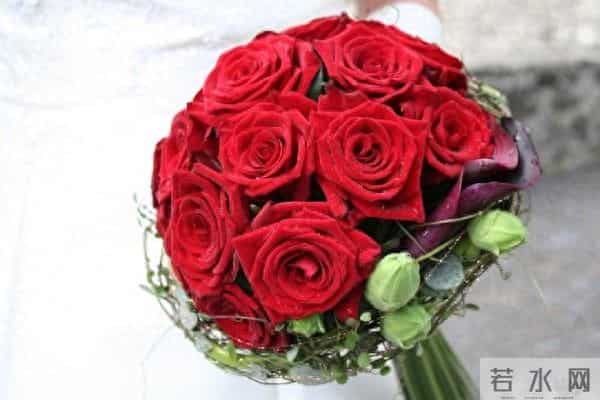 早安朋友!祝你开心无烦恼,顺心又顺意,快乐每一秒