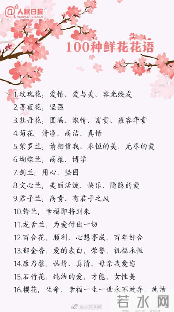 100种花的花语,收藏吧