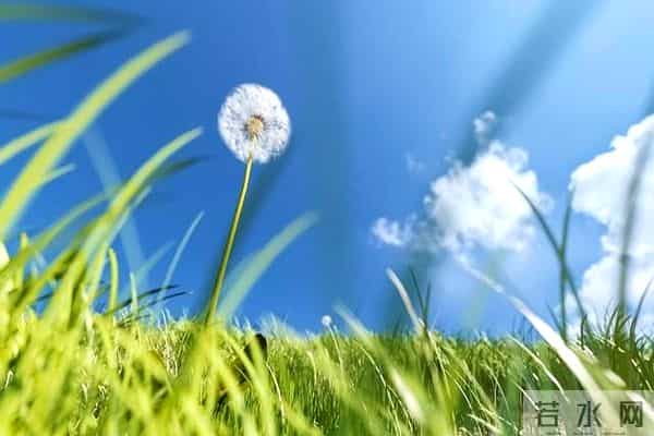 “句子虽短,但句句走心,适合发朋友圈的高质量文案”