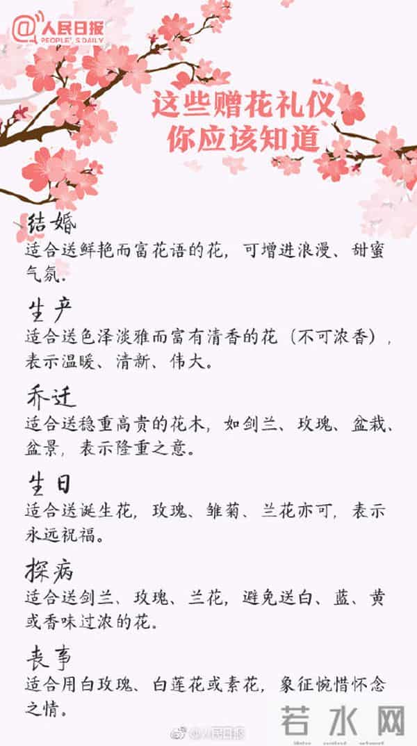 100种花的花语,收藏吧
