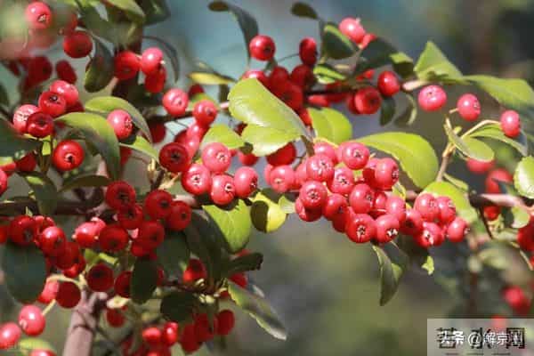 人活一生,健康的活着,平静的过着,开心的笑着,适当的忙着,就很好