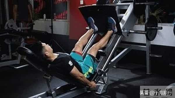 健身房练腿，经典6动作，全面刺激双腿，提升睾酮水平，强壮下肢