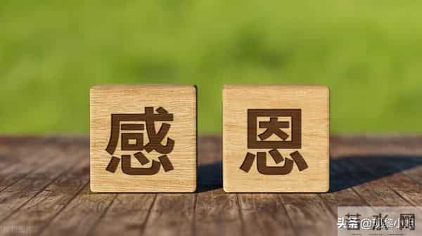 走心的感恩节祝福语文案