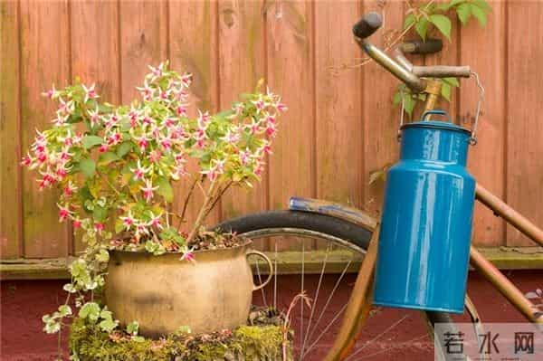 名言佳句,经典睿智,引人深思,总有一句适合现在的你