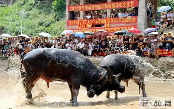 共赴侗乡盛会！三江2025年“月月过大节”活动出炉！