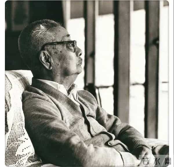 鲁迅的《风筝》与它的误读