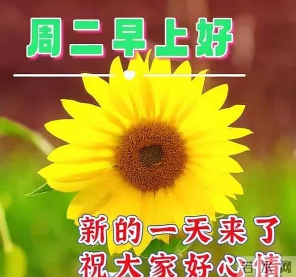 非常暖心的唯美早晨寄语，早上好祝福金句，愿喜乐平安如意