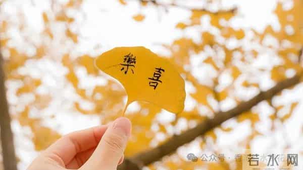 【汤老师创意作文展示——寻找秋天的故事】徐紫宁《美丽的秋天》