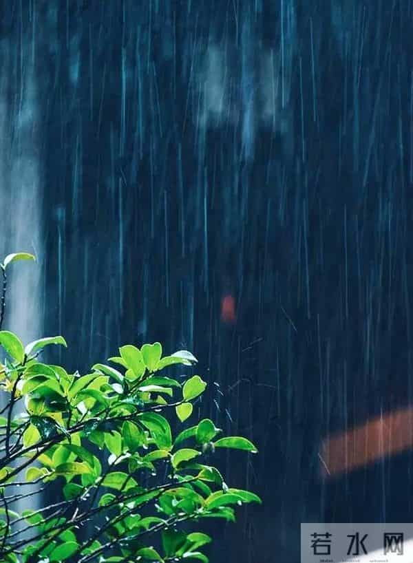 一场小雨一首诗，十首小雨诗词，如丝如缕，似烟似梦，沉醉千年！