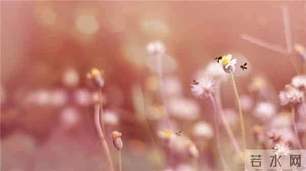 励志人生格言经典短句