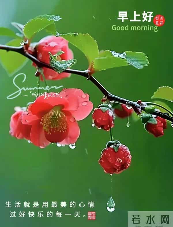 每日100句吉祥祝福语,最美的问候语大全,祝福朋友们快乐吉祥