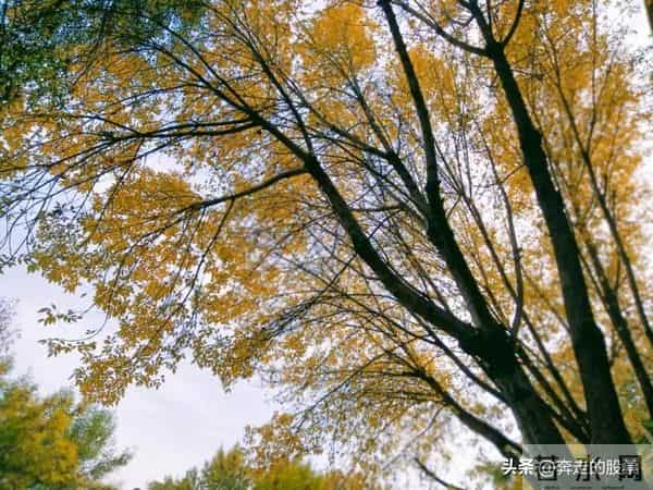 随笔：好吧，不管你经历了什么，一觉醒来，这个城市依旧车水马龙