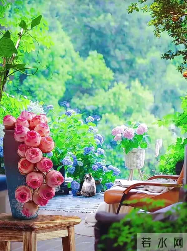 于无声处听惊雷，此时无声胜有声