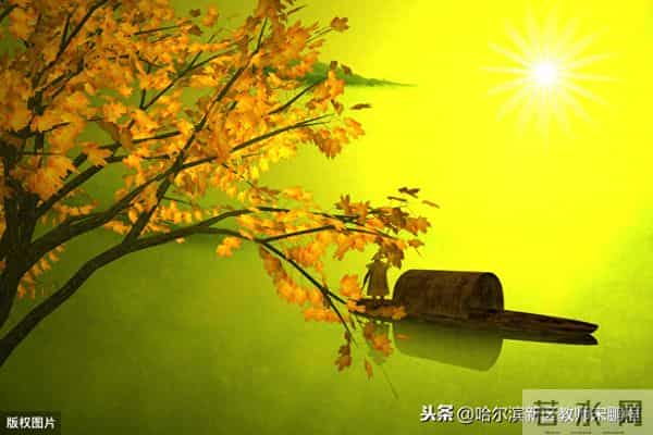 三年级数学教学计划