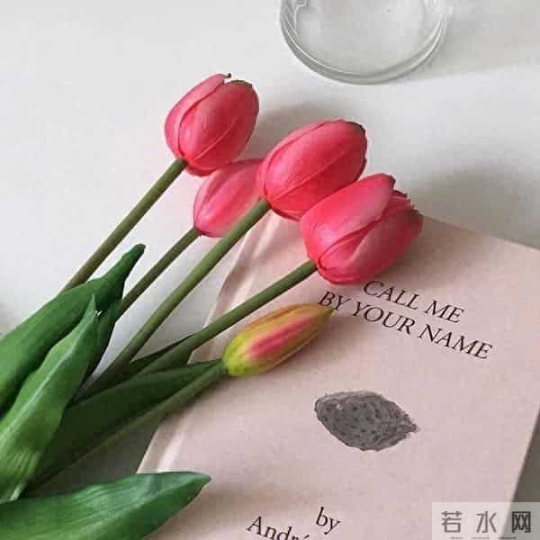 感恩母亲节的简短祝福短信，句句温馨，暖人心窝