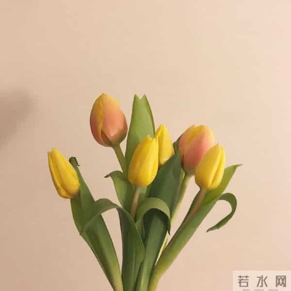 适合发朋友圈的平安夜祝福语，温暖走心，节日快乐