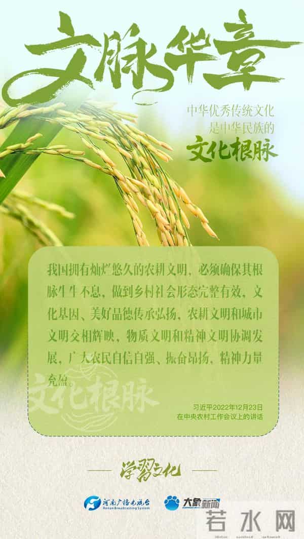文脉华章丨中华优秀传统文化是中华民族的文化根脉
