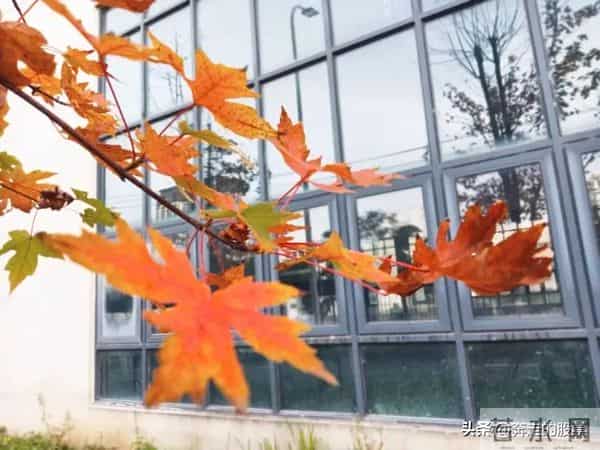 随笔：好吧，不管你经历了什么，一觉醒来，这个城市依旧车水马龙