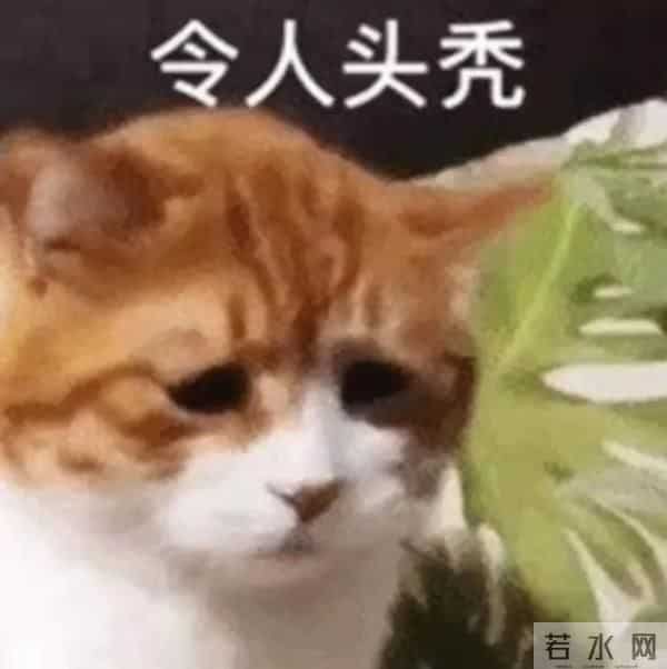 磨锤子、焊钢板……这个专业不止会做这些