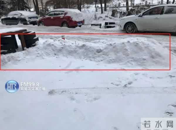 大雪纷飞里,此时无声胜有声