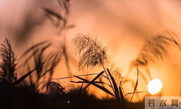 为你整理了50句金句,句句都值得摘抄,建议收藏