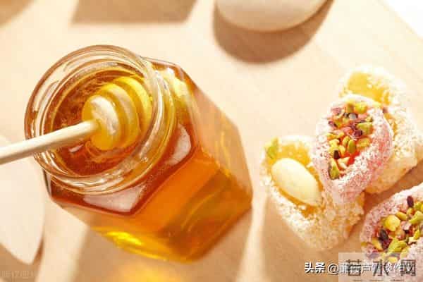 草虫的世界如此奇妙①——阿宝老师的“作文经”(三三四)