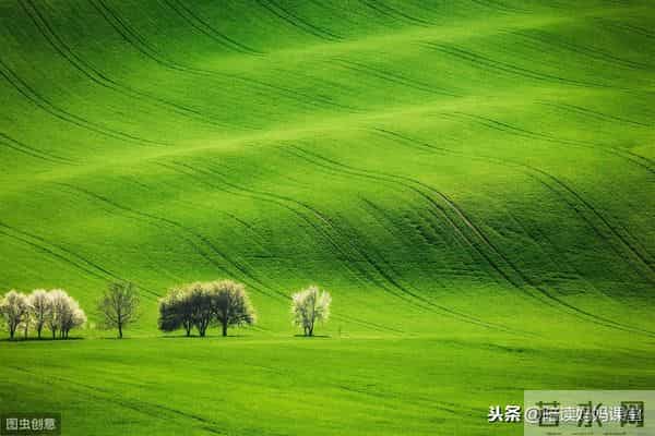 小学英语高频短语汇总,收藏背诵吧