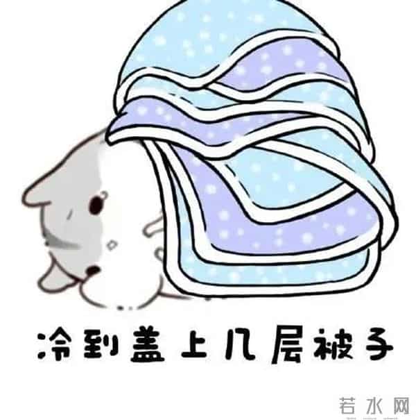 零下8度幼儿园只来了1个学生,老师组团包围!网友:感动又不敢动